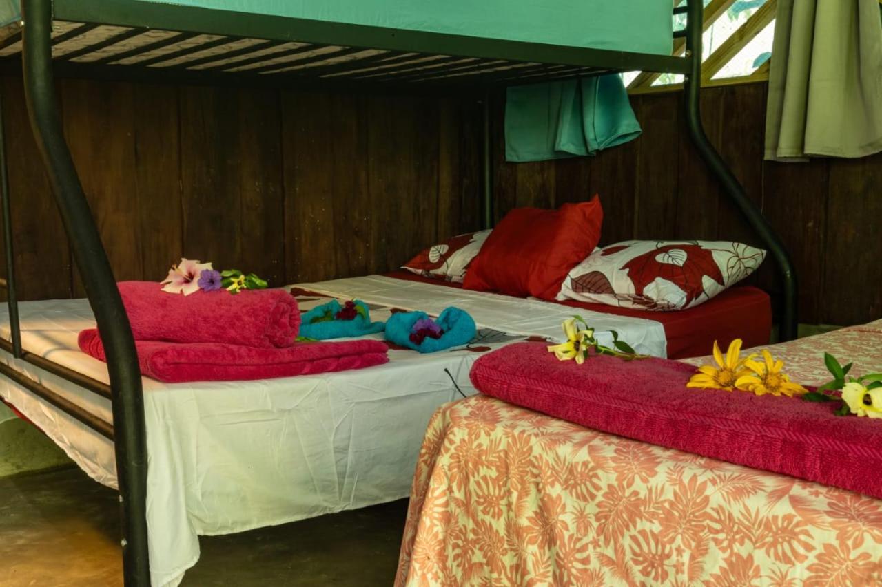 Los Paniquines Ecolodge Drake Bay Exterior foto
