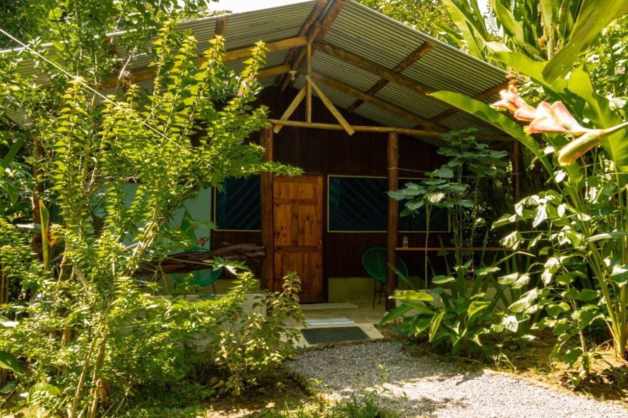 Los Paniquines Ecolodge Drake Bay Exterior foto